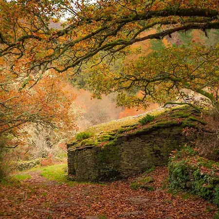 Apartment A Casoa Ii