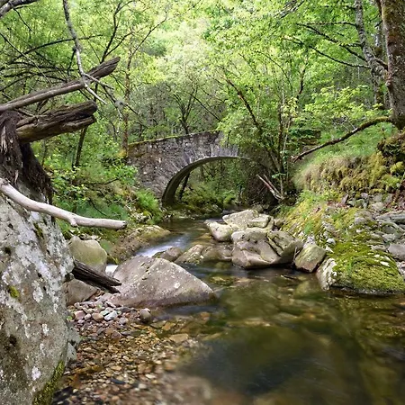Apartment A Casoa Ii Santa Eulalia de Oscos